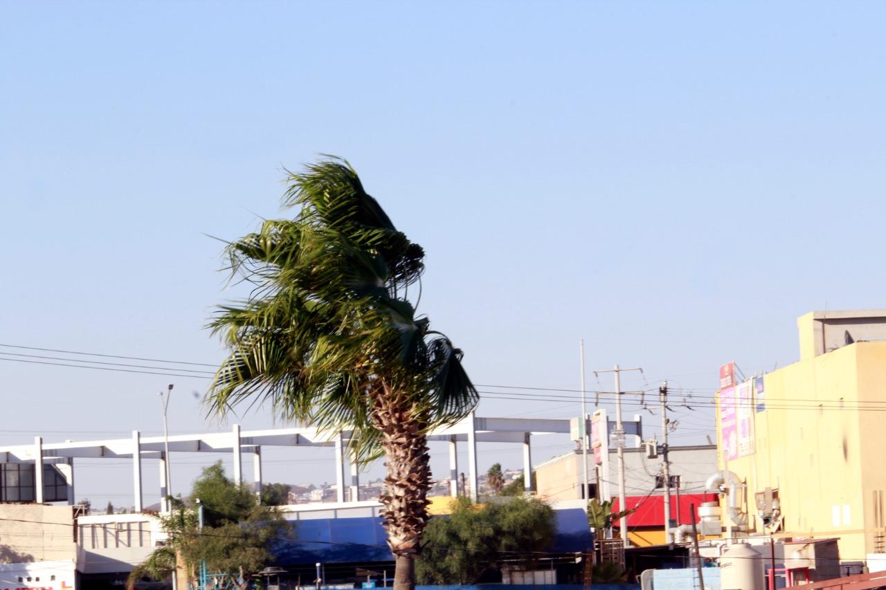 Permanecerán vientos de Santa Ana en la región hasta el martes; Pide IX Ayuntamiento extremar precauciones para prevenir incendios e incidentes en Rosarito