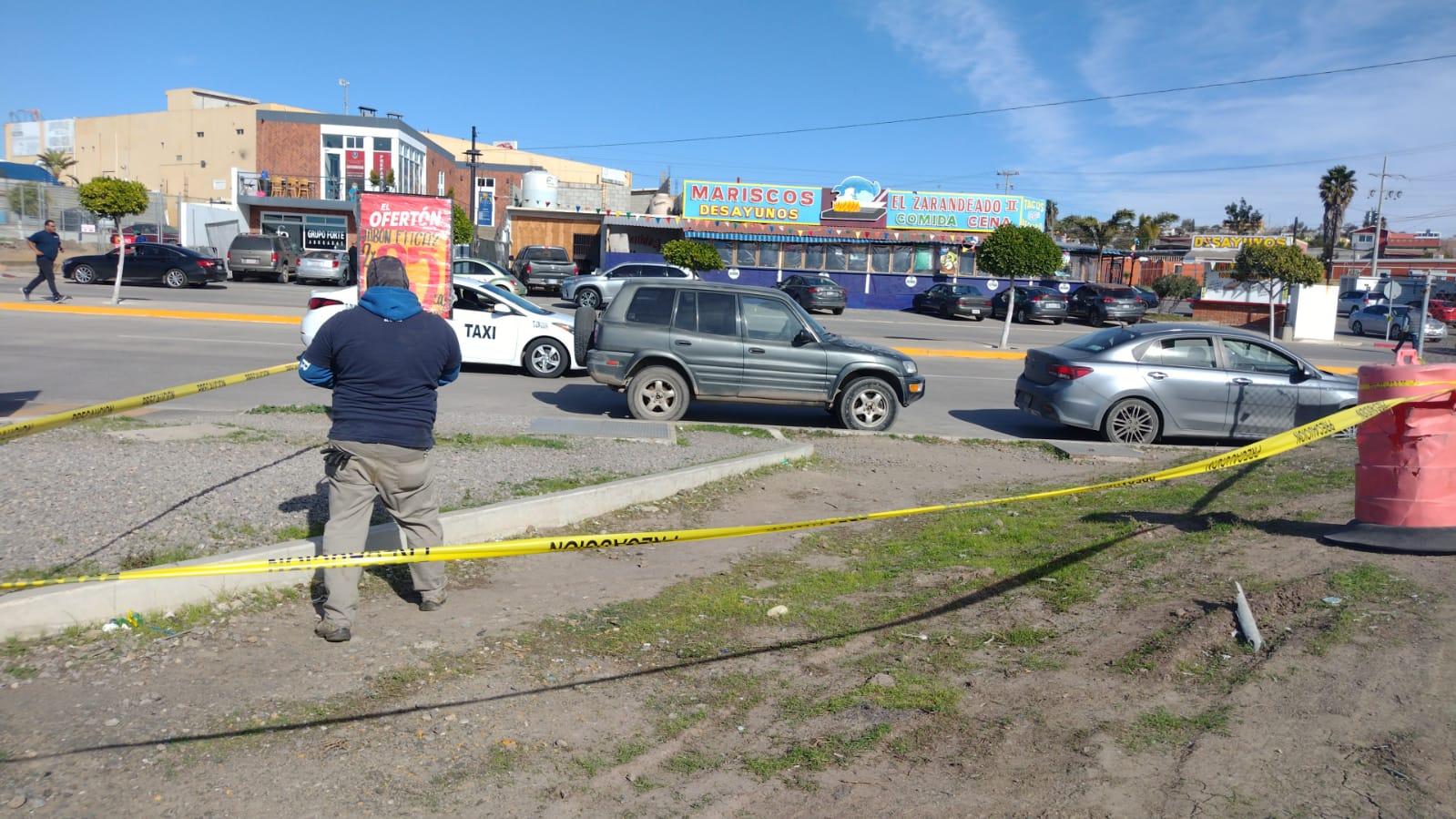 Habilita el IX Ayuntamiento de Playas de Rosarito centro de acopio de arbolitos navideños