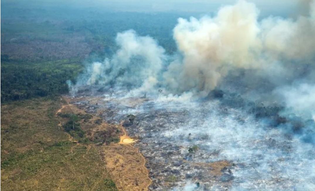 Alerta por incendios en la Amazonia y la Orinoquía