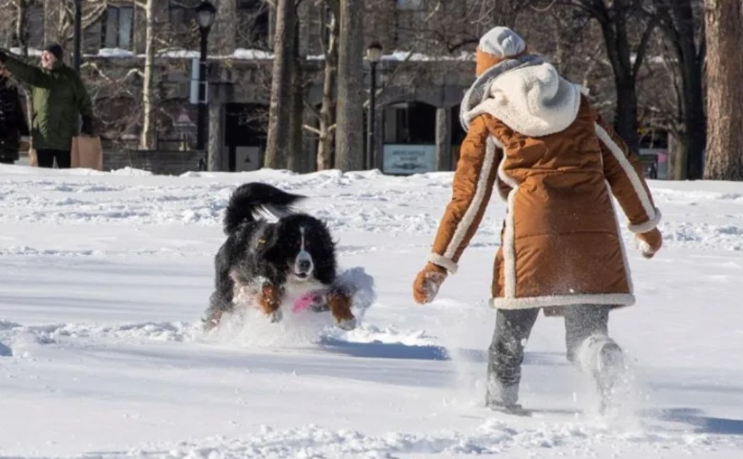 Estados Unidos cancela más de cinco mil vuelos por tormenta invernal