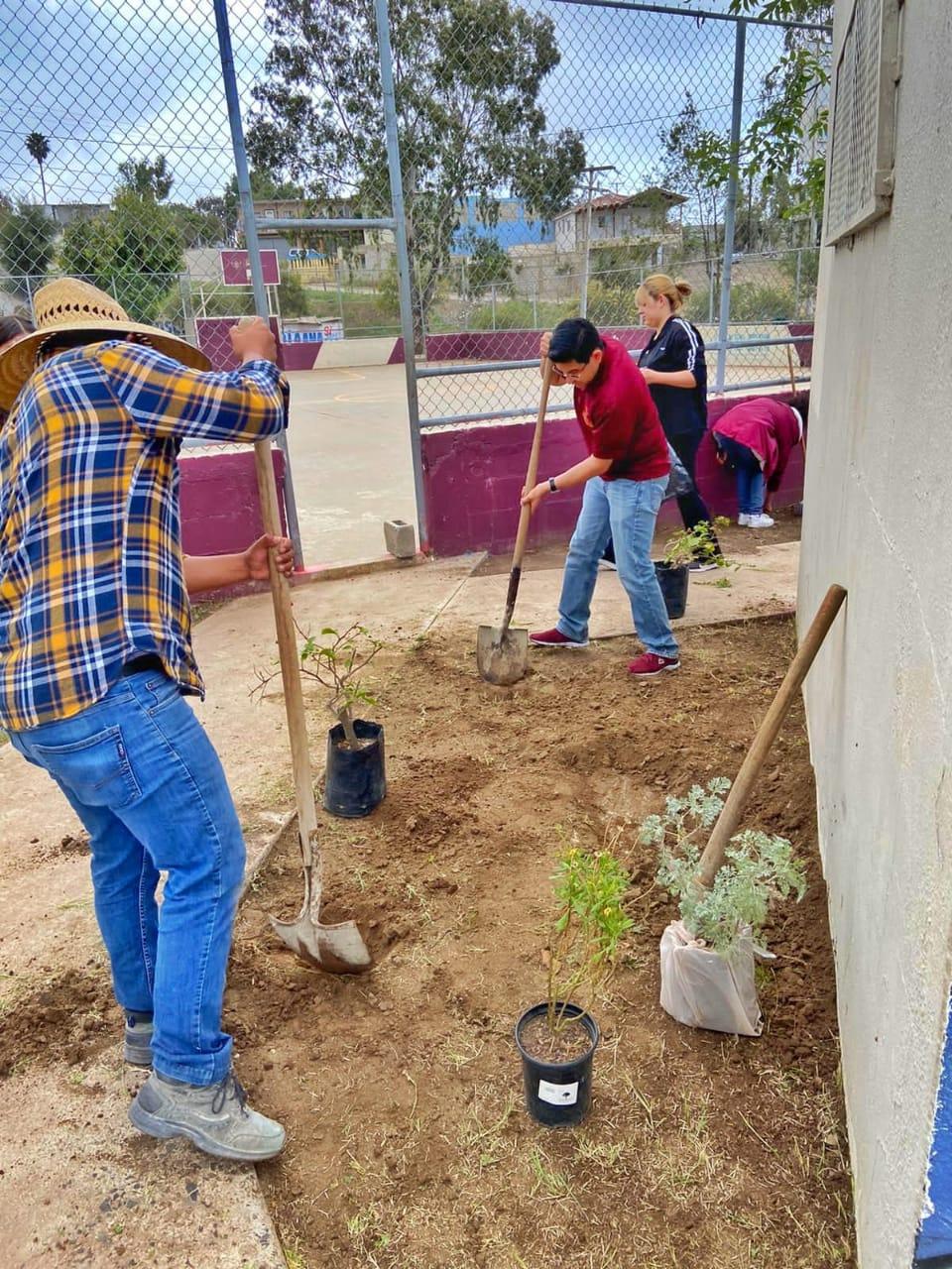 Jóvenes rosaritenses participan en jornada de limpia en apoyo a la salud de residentes de la colonia Aztlán