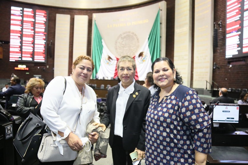 Aclara Evangelina moreno que sí asistió a la discusión de la reforma eléctrica