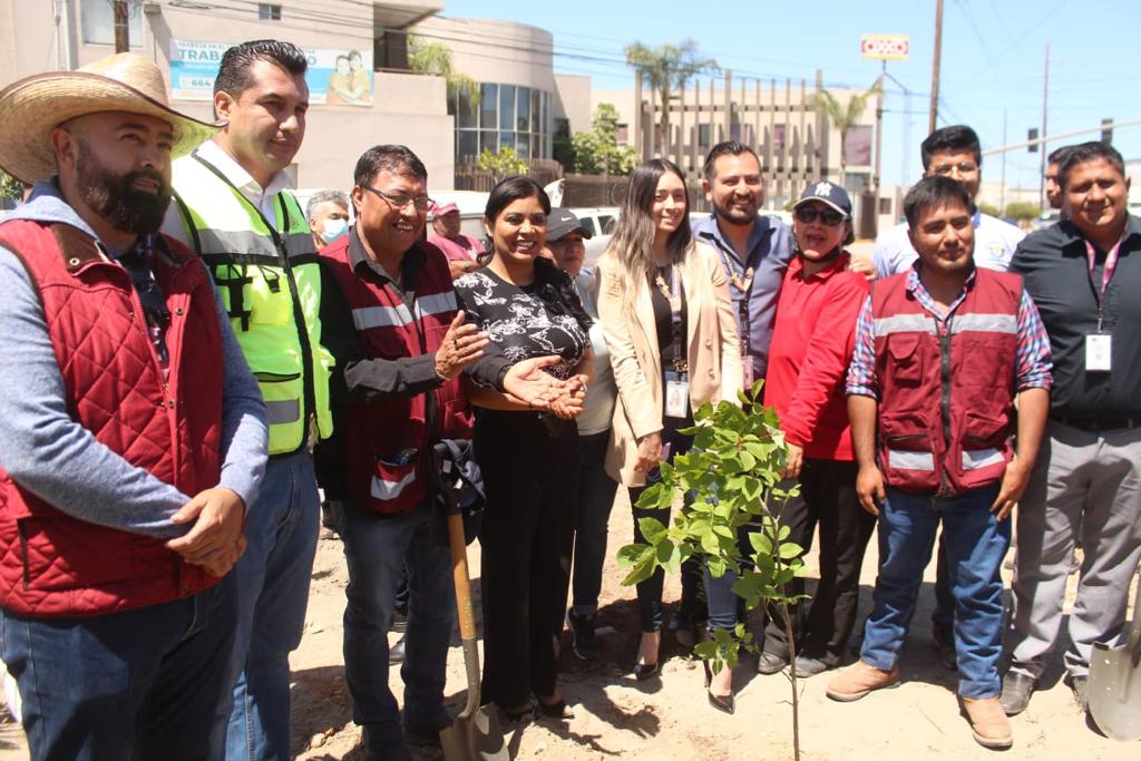 Ayuntamiento de Tijuana lleva “Sembrando vida a tu colonia” a la Delegación Otay-Centenario