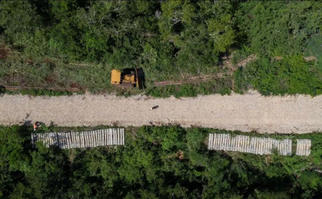 La Semarnat plantará 450 millones de árboles en ruta del Tren Maya