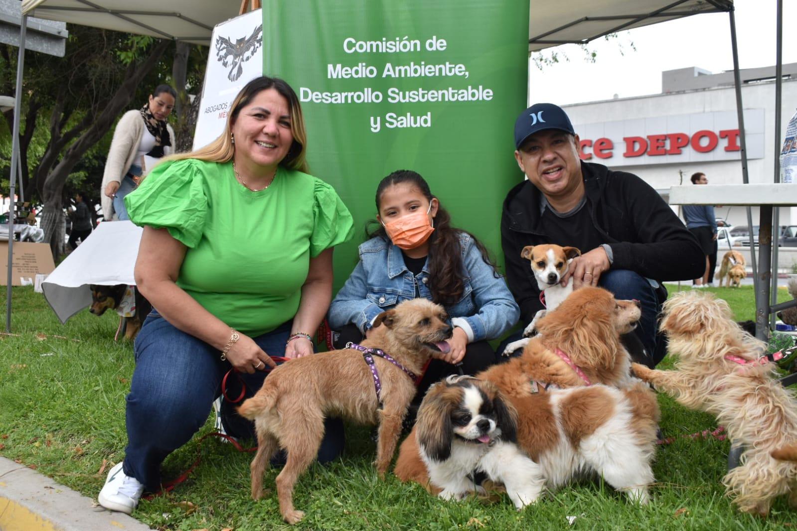 Respetar a los animales es una obligación, amarlos es un privilegio: Regidora Marisol Hernández