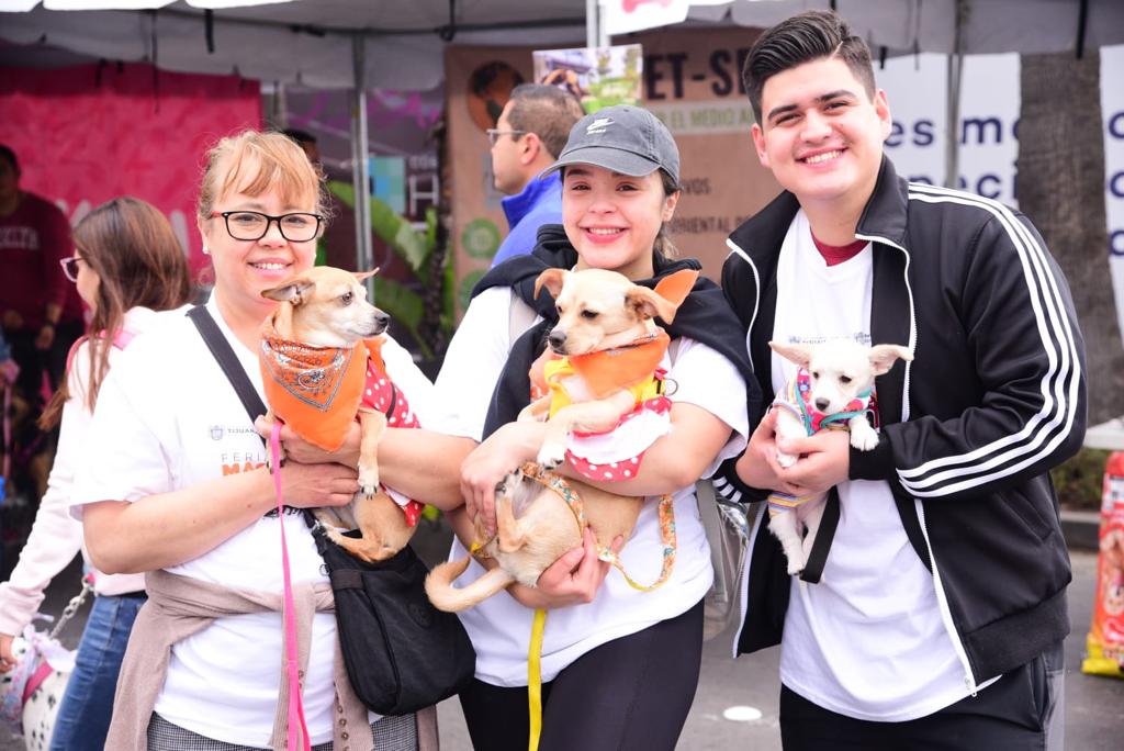 Ayuntamiento de Tijuana realizó la segunda feria de las mascotas