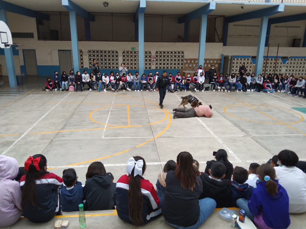 Muestran habilidades agentes k9 de la FESC en primaria de Ensenada