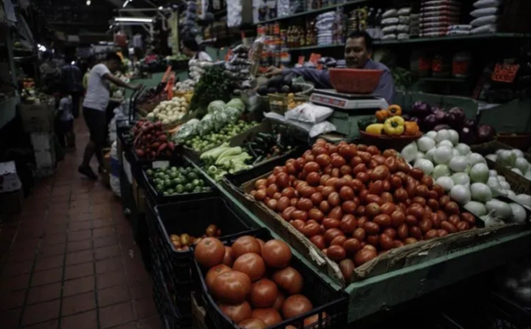 Sembrando Vida pretende producir alimentos básicos