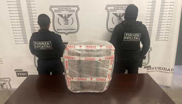 Asegura FESC 30 KG de marihuana