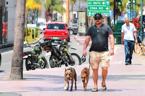 Baja California sin defunciones por covid-19 en los últimos siete días