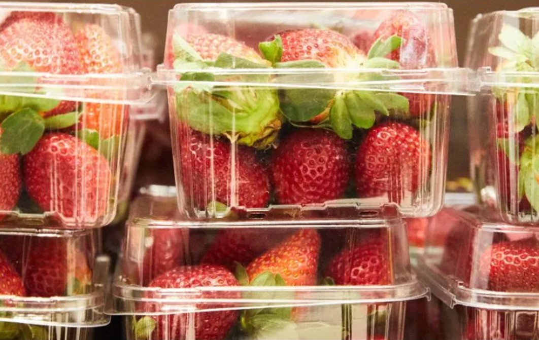 Estados Unidos y Canadá detectan brote de la enfermedad en fresas mexicanas