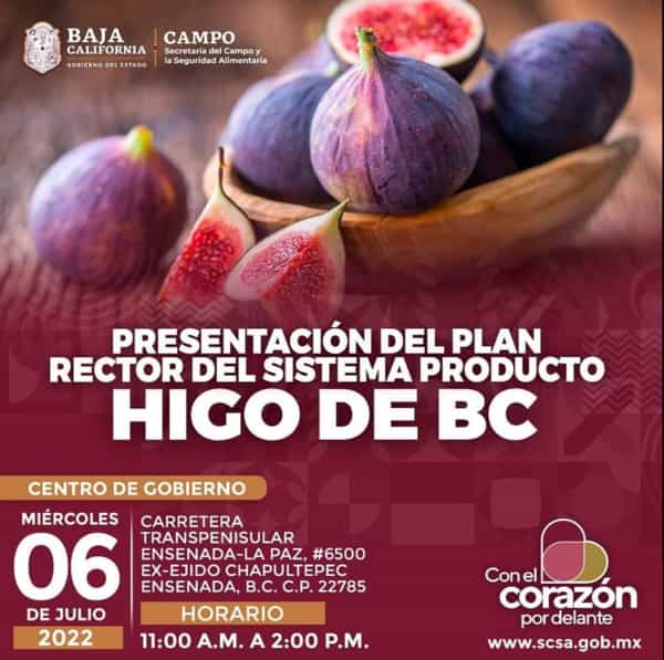 Invita Secretaría del Campo a productores de higo a conocer el Plan Rector 2022-2024