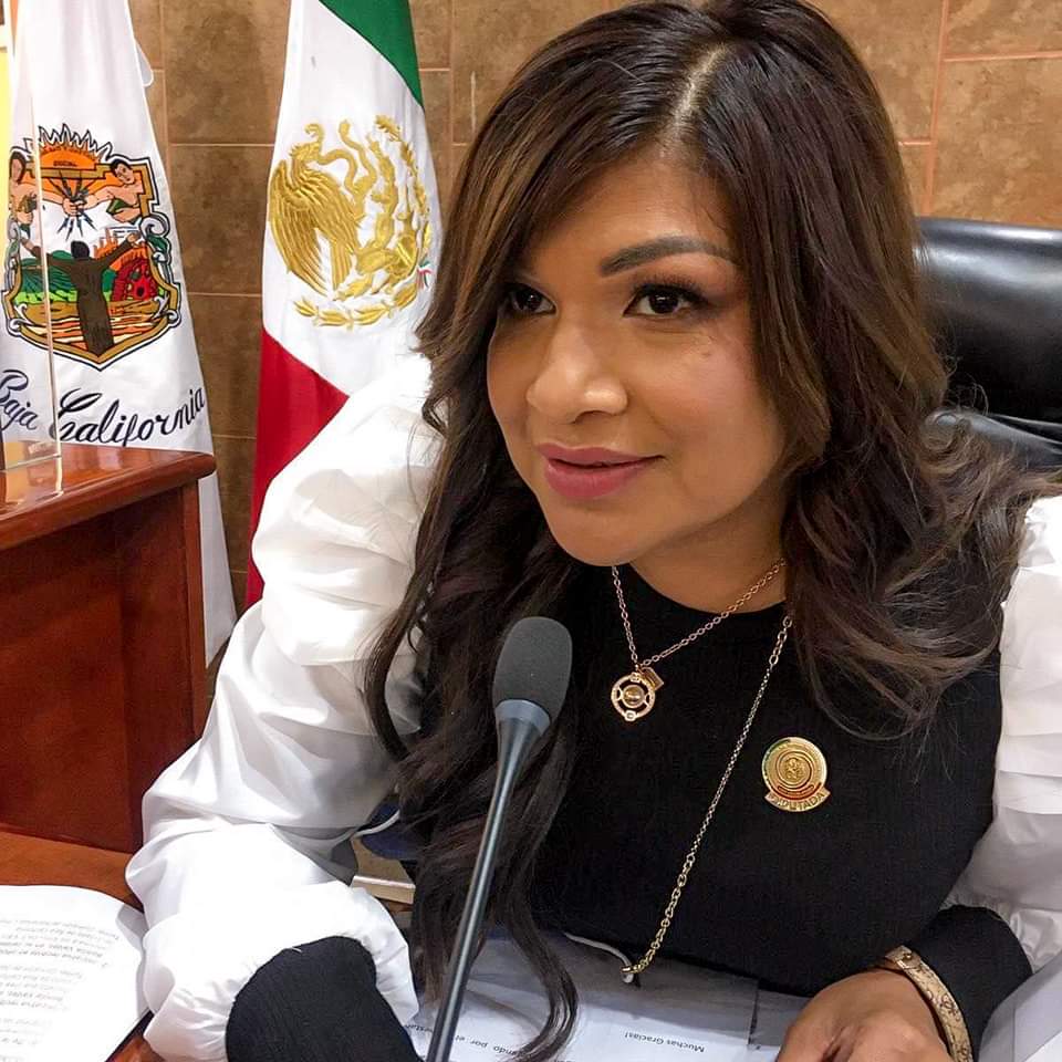 Propone diputada Rosy García reforma en materia de violencia vicaria