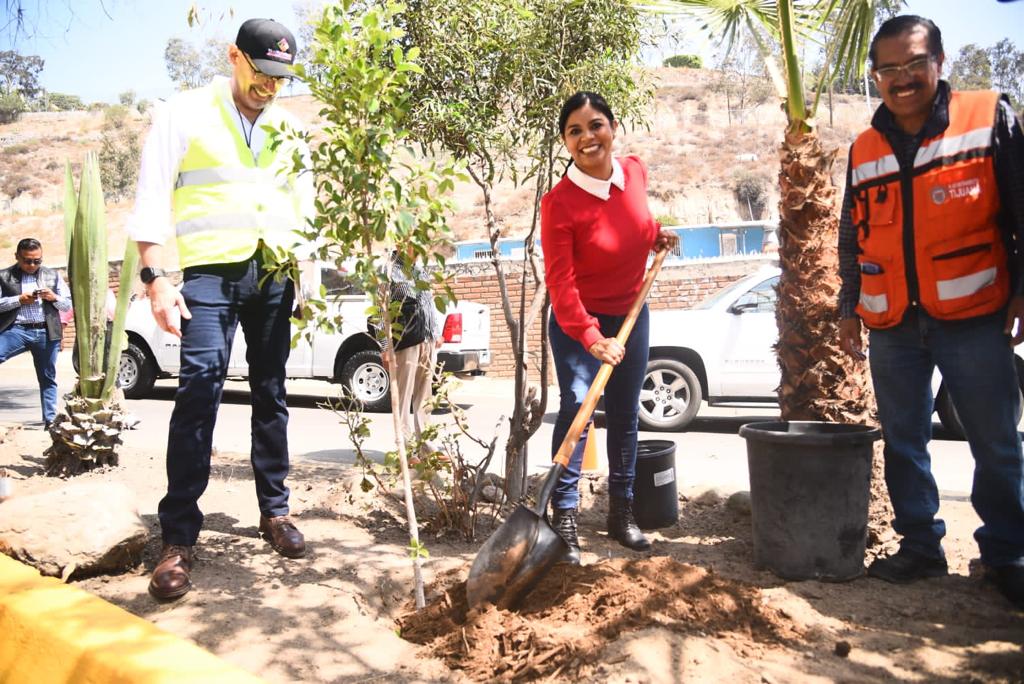 Ayuntamiento implementan “transforma Tijuana, manos a la obra” en delegación centro