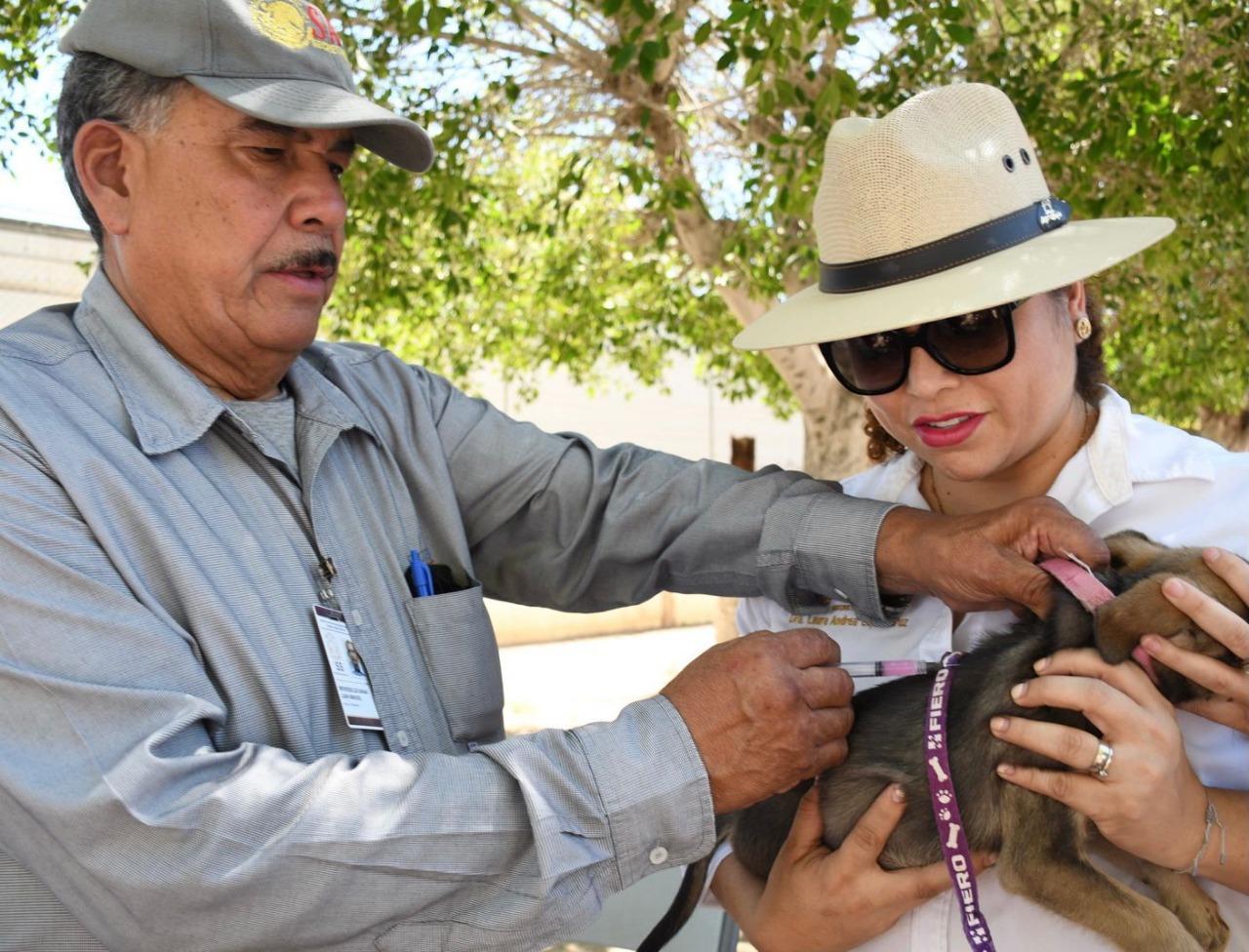 Intensifica jurisdicción de salud Mexicali las acciones de vacunación antirrábica