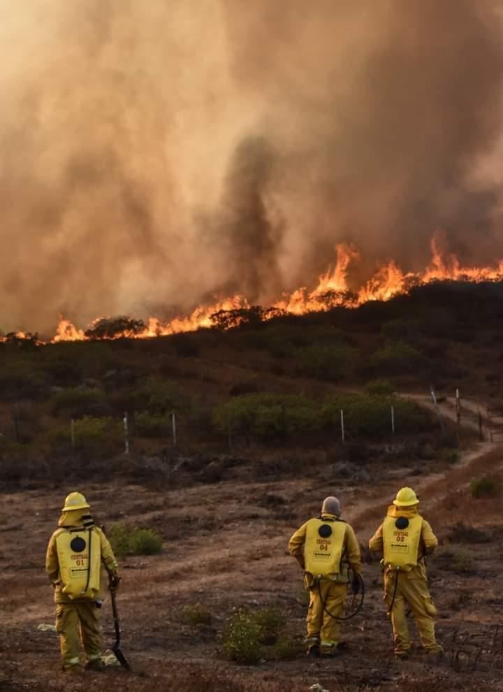 Ante posible aumento de temperaturas se emiten recomendaciones contra incendios y golpes de calor