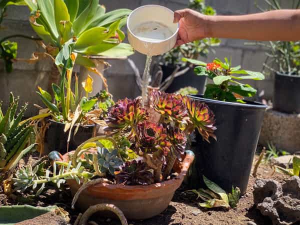 Promueve CESPE el uso responsable del agua