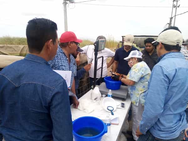 Concluye SEPESCA satisfactoriamente segunda parte del curso “creación y puesta en marcha de un laboratorio para cultivar tilapia”