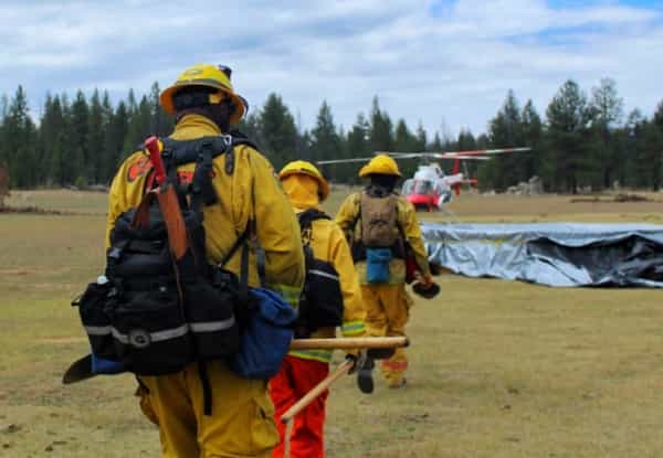 Controlado al 100% incendio en Sierra de San Pedro Mártir: Protección Civil