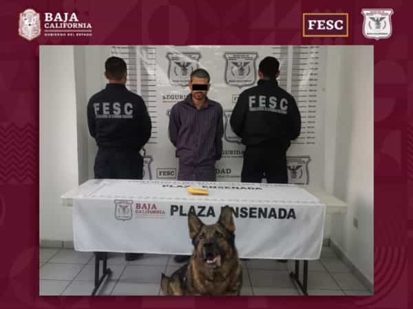 Dan resultados positivos operativos de FESC contra narcomenudeo en el estado