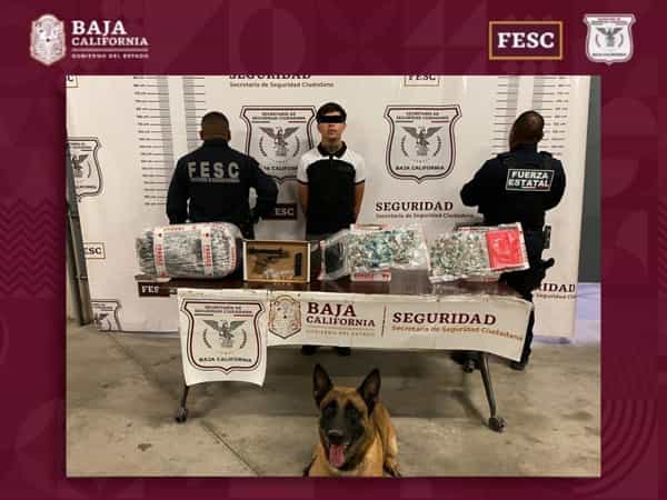 Detiene Fuerza Estatal a hombre con arma y marihuana