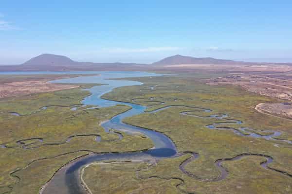 Fortalecerá Secretaría de Medio Ambiente protección a áreas naturales de San Quintín