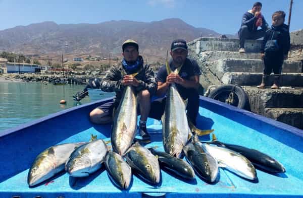 Habrá torneo de pesca deportiva de jurel en Isla de Cedros: SEPESCA