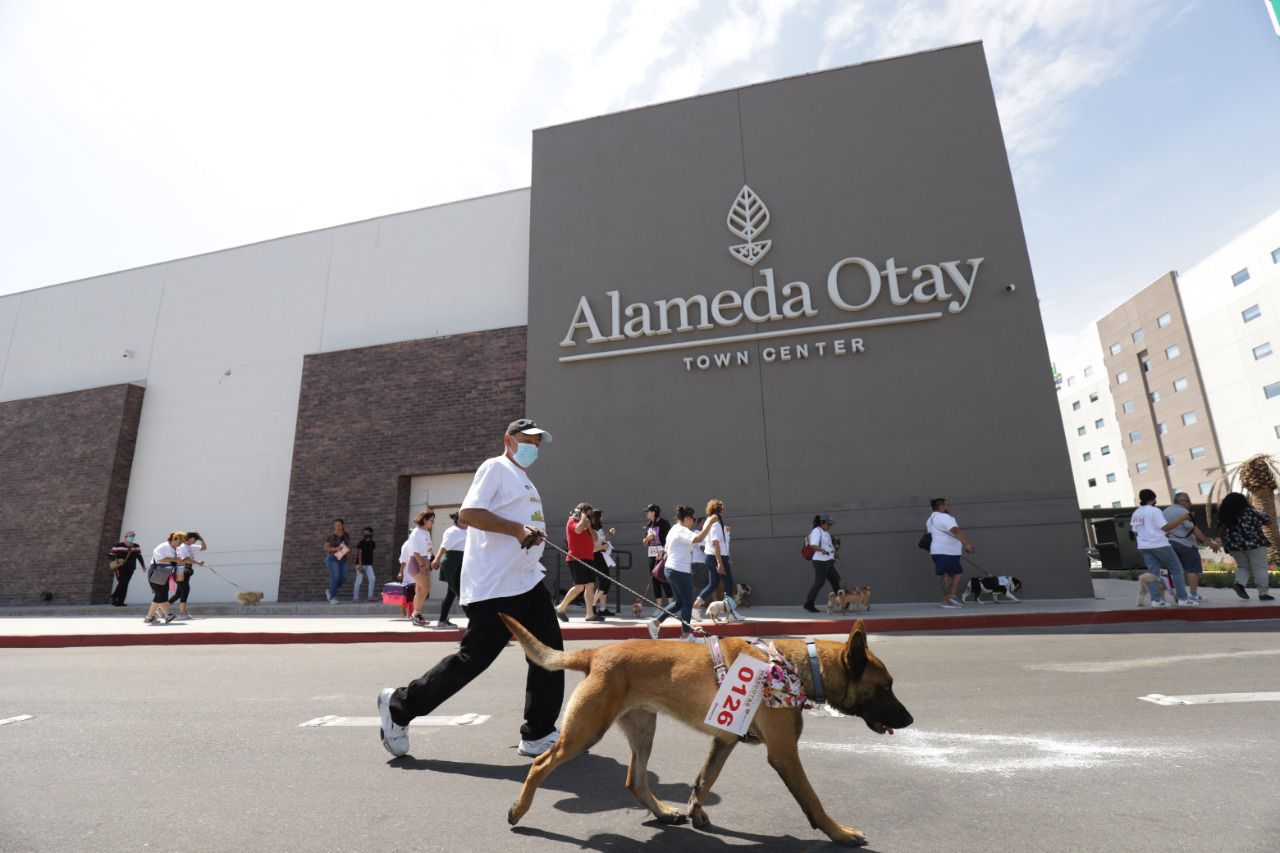 Celebran alameda Otay Town center y ayuntamiento 4ta feria de las mascotas