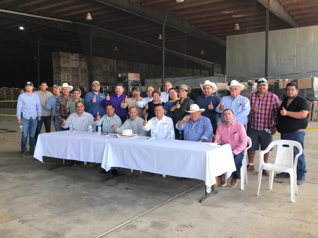 Inicia Secretaría del Campo protocolo de control de la plaga en el cultivo de chile en Valle de la Trinidad