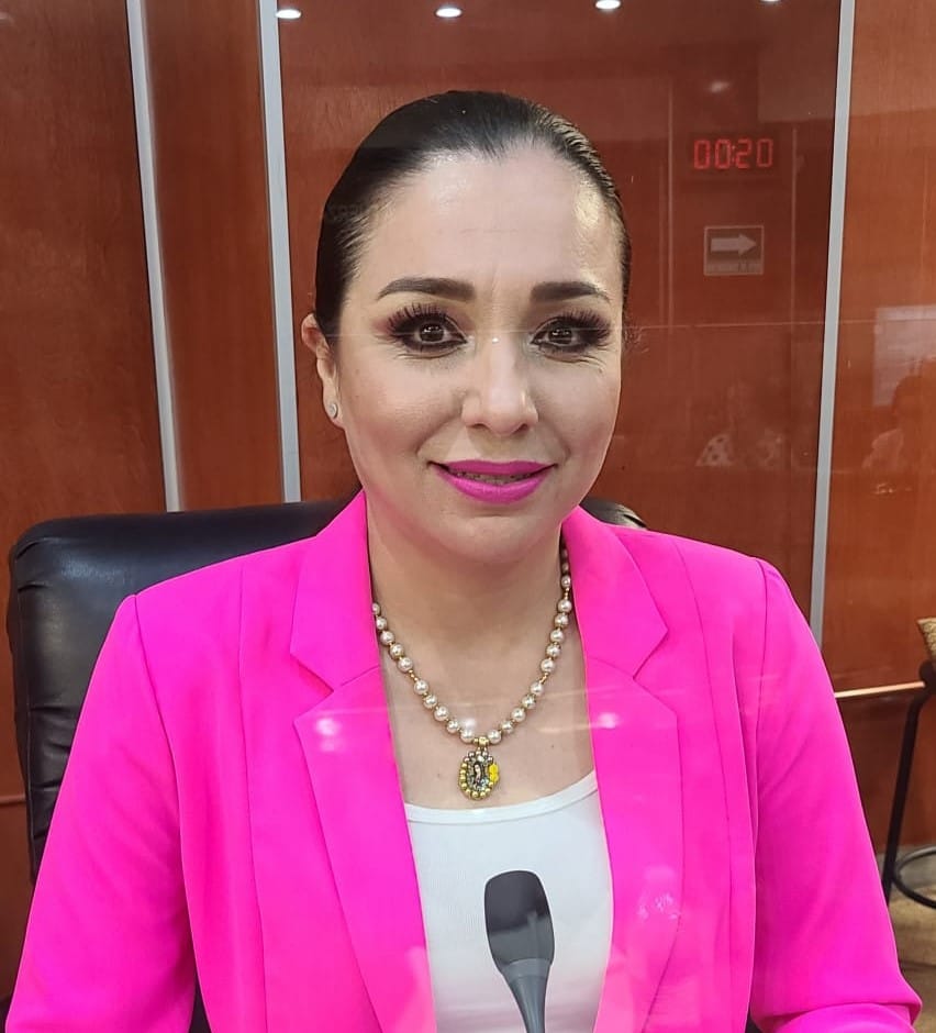 Pide diputada Amintha Briceño a CFE realizar mejoras a la red de energía eléctrica de Mexicali