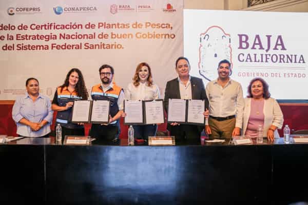 Presentan convenio que dará celeridad a los trámites de certificación de plantas pesqueras y embarcaciones: SEPESCA