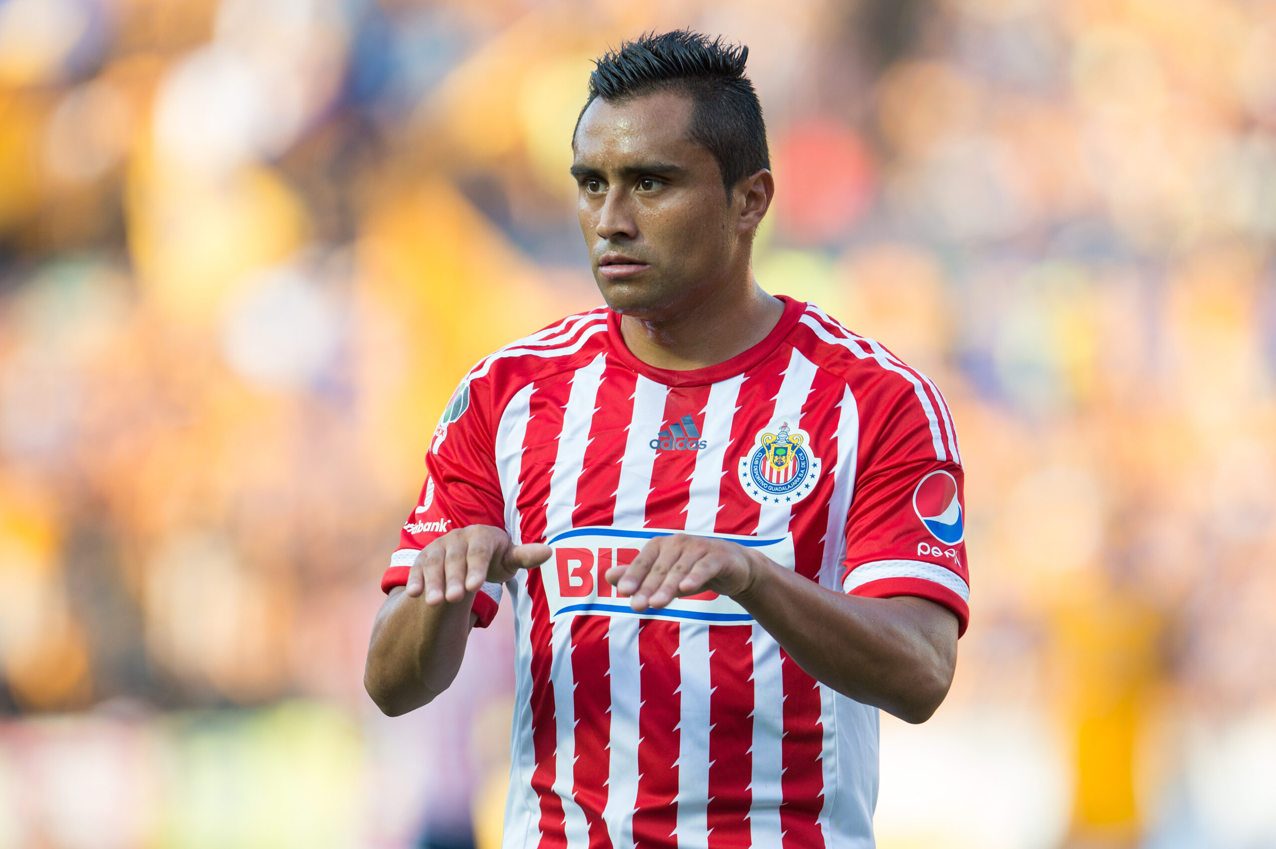 Edwin Hernández: “Se necesita mucho carácter y personalidad para representar a Chivas”