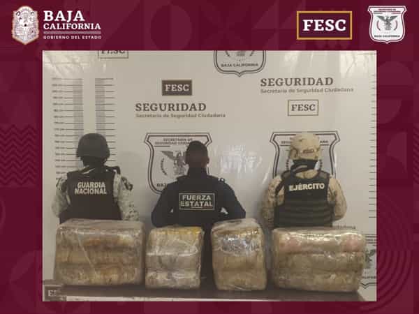 Localizan 65 kilos de marihuana en Tijuana