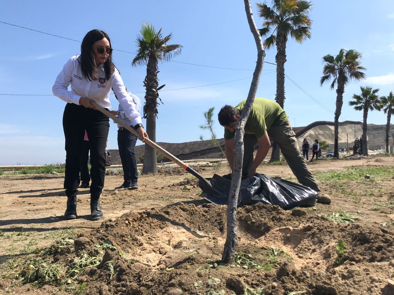 Planta Ayuntamiento especies nativas en acceso a Playas de Tijuana