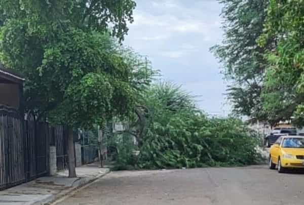 Pronostican fuertes vientos para la madrugada en Mexicali: Protección Civil