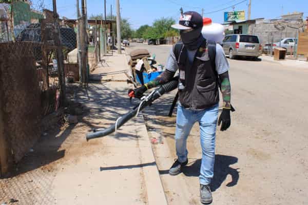 Refuerzan medidas preventivas con jornada y capacitación contra la rickettsiosis