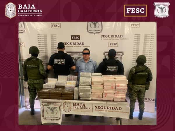 Aseguran Fuerza Estatal y SEDENA casi 400 kilos de cocaína en Tijuana