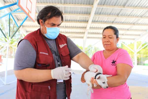 Continúan las acciones de la jornada de vacunación antirrábica canina y felina