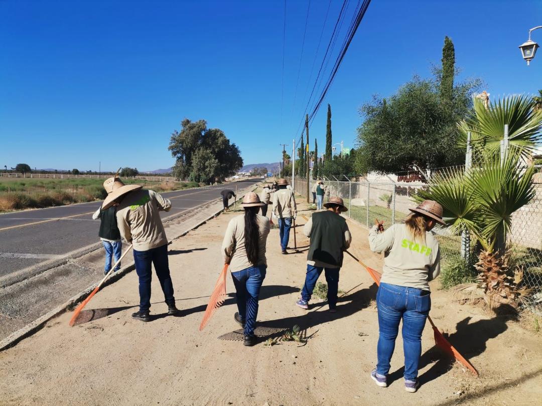 En marcha cuarta campaña de limpieza en el Valle de Guadalupe