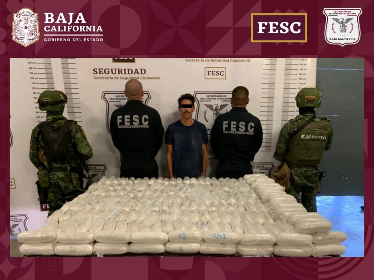 FESC y SEDENA confiscan cerca de 200 kilos de metanfetamina; Hay un detenido