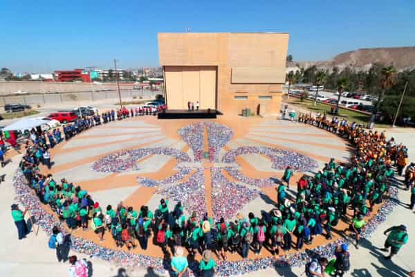 Realizan “La flor de lis más grande del mundo” en CEART Tijuana