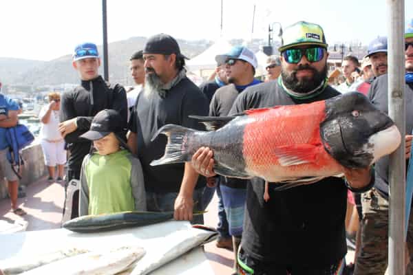 Traerá importante afluencia gran final de la “Copa Baja California” de Pesca Deportiva