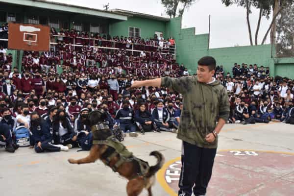 Exhiben agentes K9 de FESC habilidades de prevención