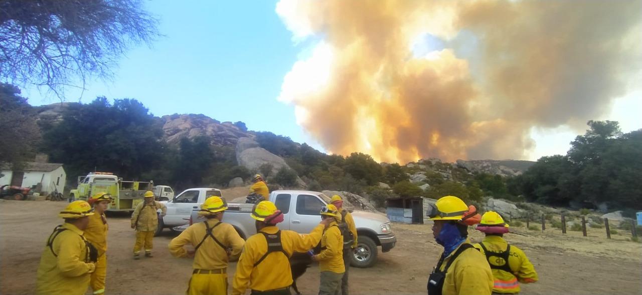 Cuartel forestal de la Secretaría del Campo y Cal Fire capacitarán a bomberos del Gobierno de Chile