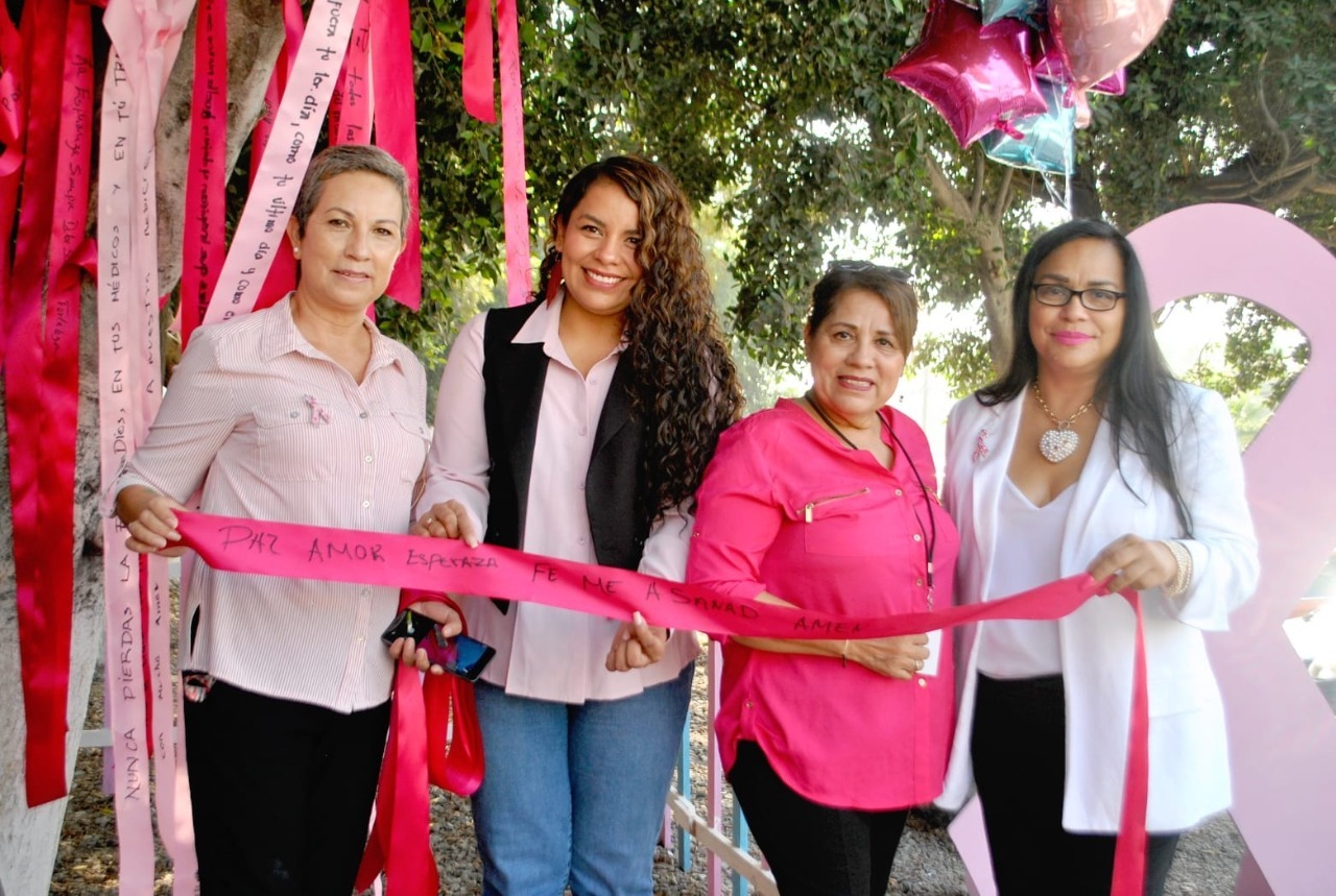 SDIF y mujeres por mujeres, A.C. se unen en la prevención del cáncer