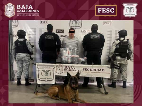 Decomisa FESC 25 kilogramos de metanfetamina en Tijuana