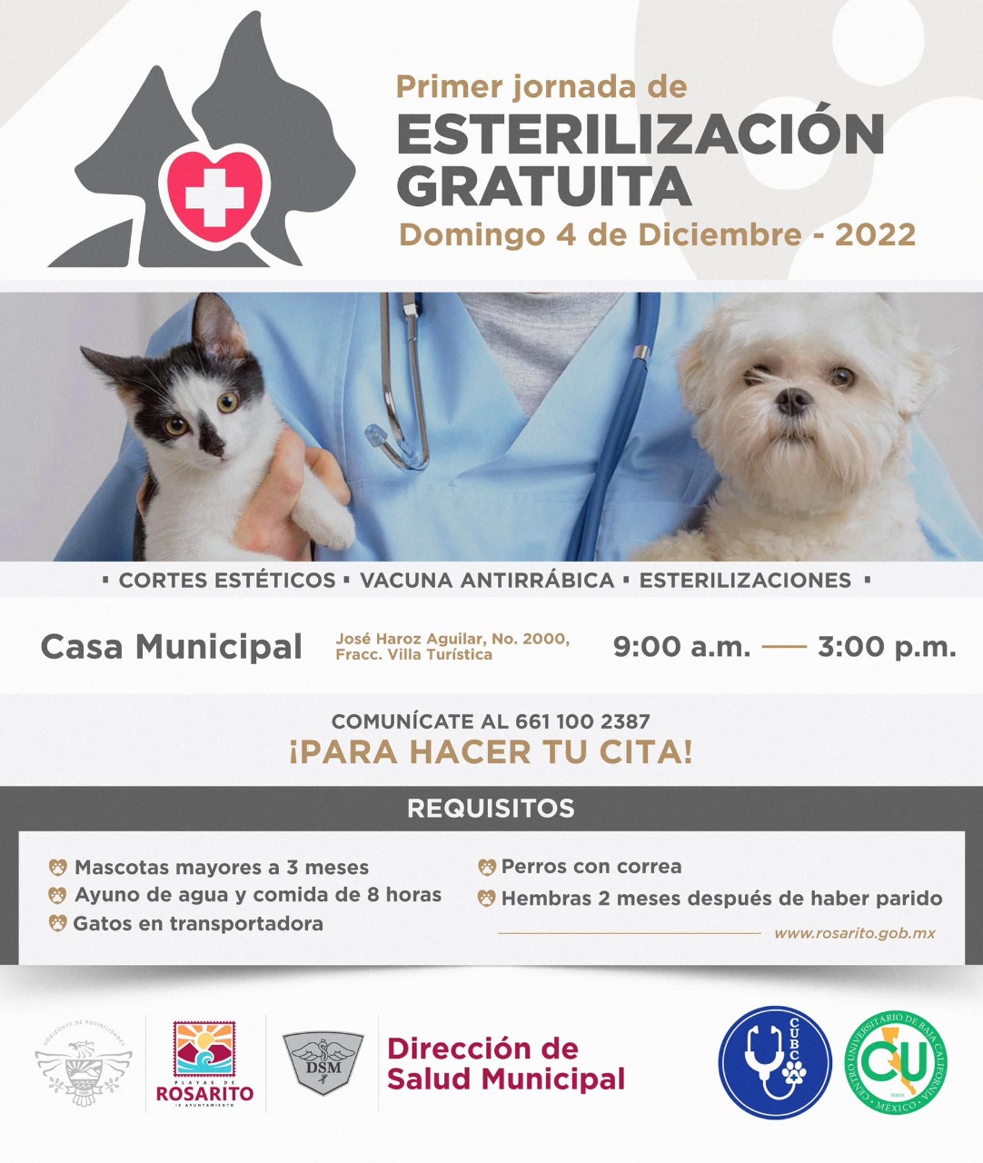 Invita Gobierno Municipal llevar sus mascotas a la primera jornada de esterilización gratuita