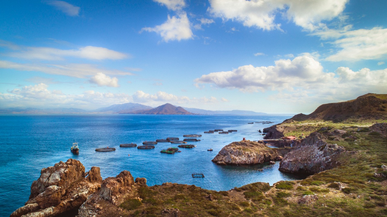 Reconoce SEPESCA el liderazgo de la industria acuícola de Baja California