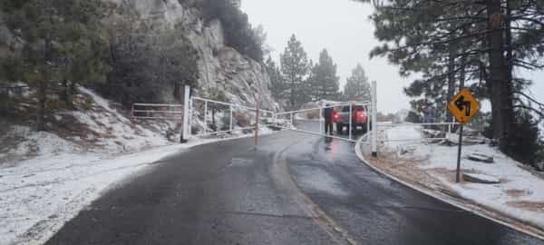 Se mantendrá cerrado el acceso a Parque Nacional Sierra de San Pedro Mártir