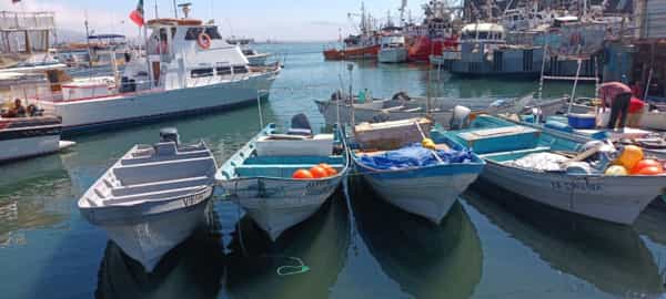 Advierte SEPESCA sobre tomar precauciones para la navegación